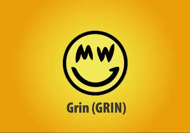 ارز دیجیتال گرین (GRIN)